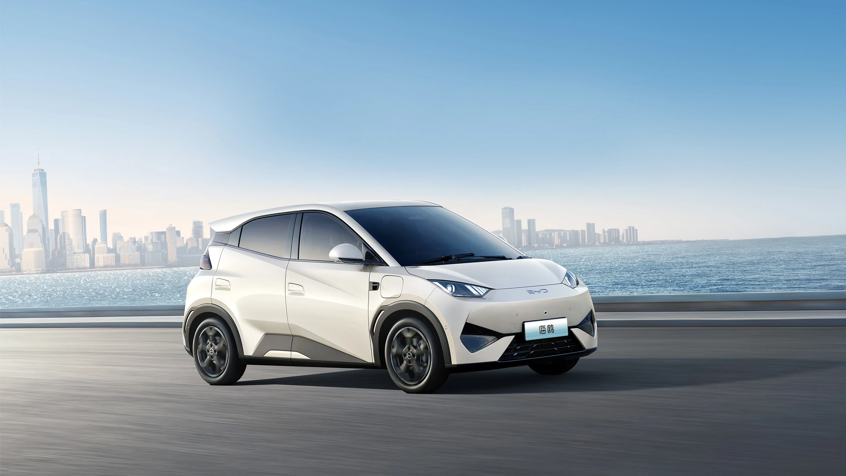 ag亚洲集团 SEAGULL